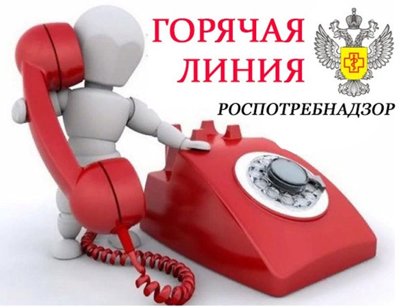 Анонс о проведении «горячей линии» по организации детского отдыха.