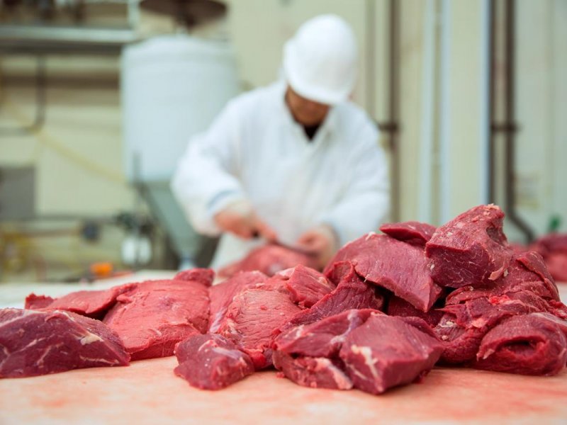 О нормативных требованиях к производству мяса и мясной продукции.