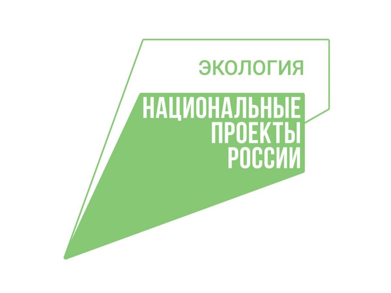 За прошедшую неделю в Вологодской области ликвидировано три лесных пожара..