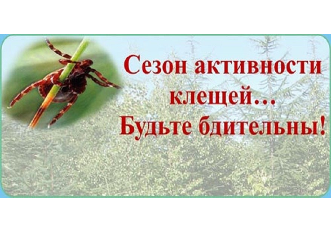 Советы для тех, кто планирует провести время на природе.