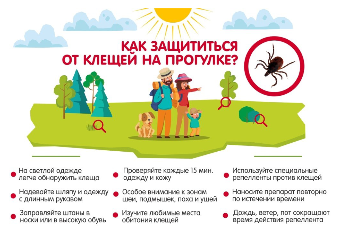 Как подготовиться к походу на природу.