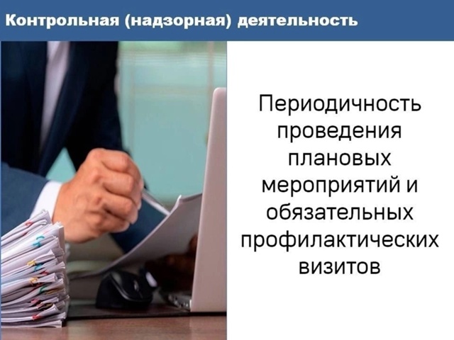 Периодичность проведения плановых контрольных (надзорных) мероприятий и обязательных профилактических визитов.