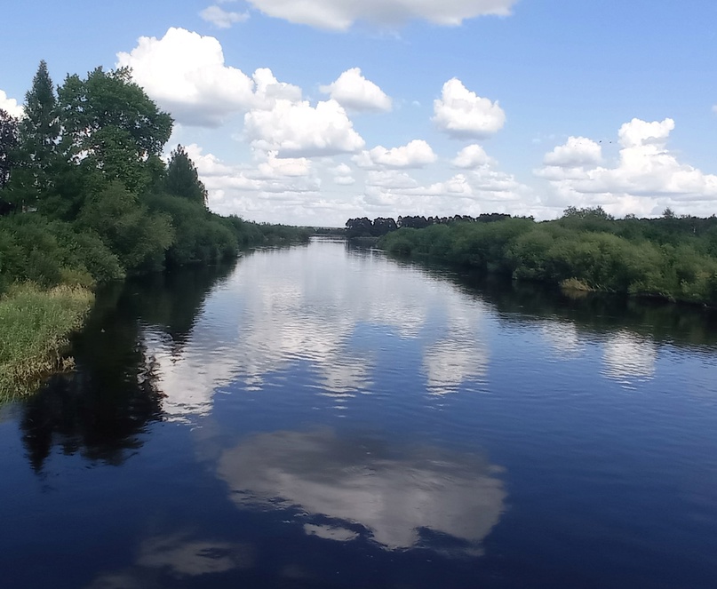 На территории Верховажского округа установилась жаркая погода..