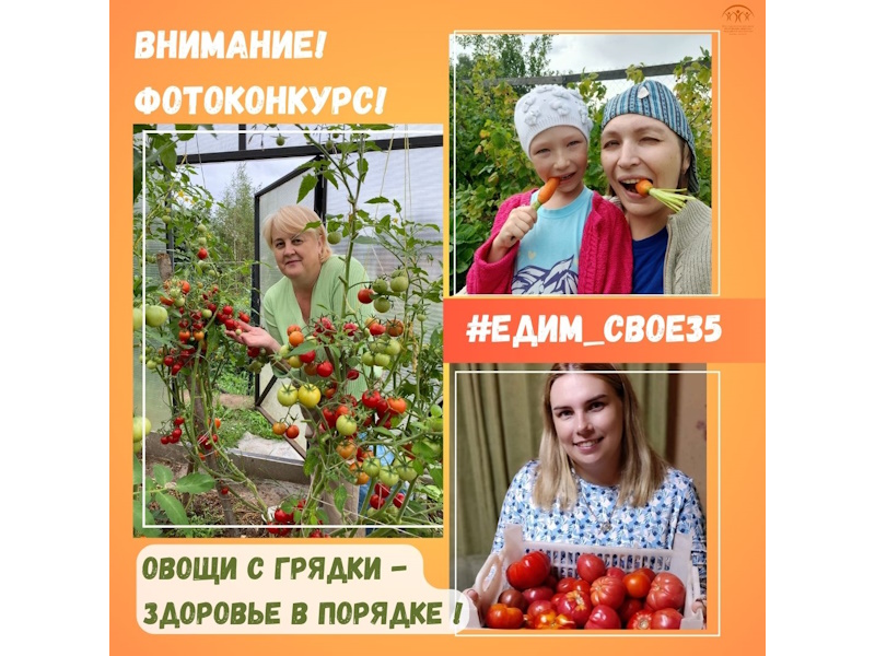 Вологжан приглашают принять участие в областном фотоконкурсе  «Овощи с грядки - здоровье в порядке».