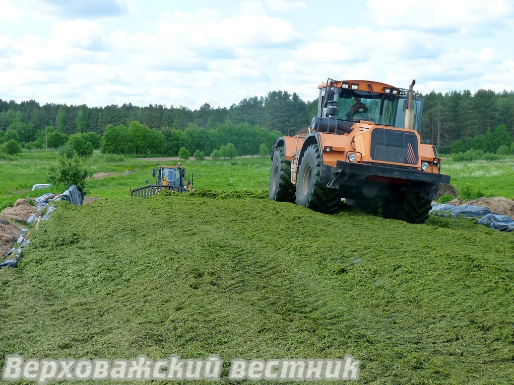 В сельхозпредприятиях округа в дополнение к заготовке кормов стартовала уборка урожая.