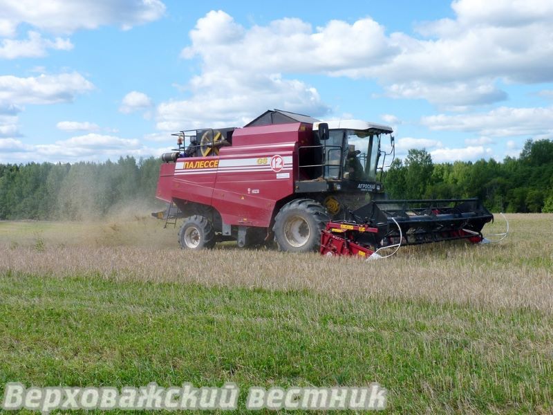 В сельхозпредприятиях Верховажского округа зерновые убраны уже на треть.