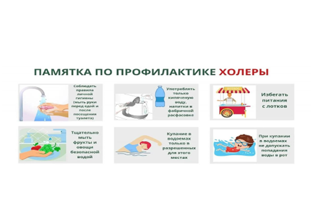 «Профилактика холеры».