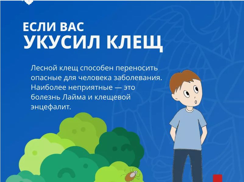 Что делать, если укусил клещ.