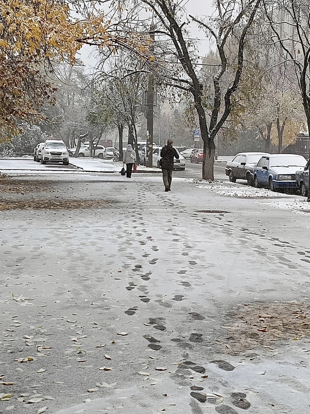 Прогноз безопасности ❄.