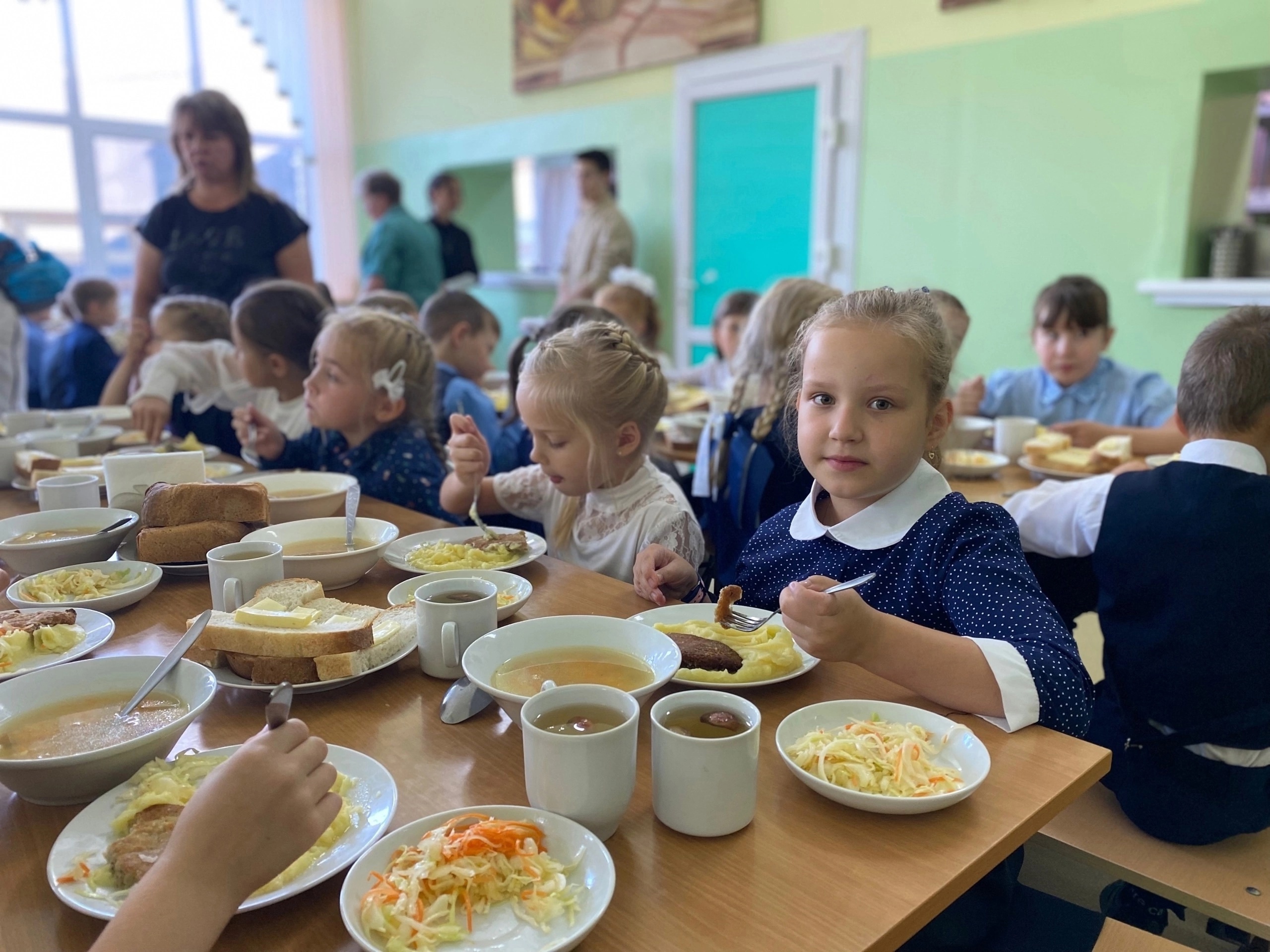 Родительский контроль питания в школе.