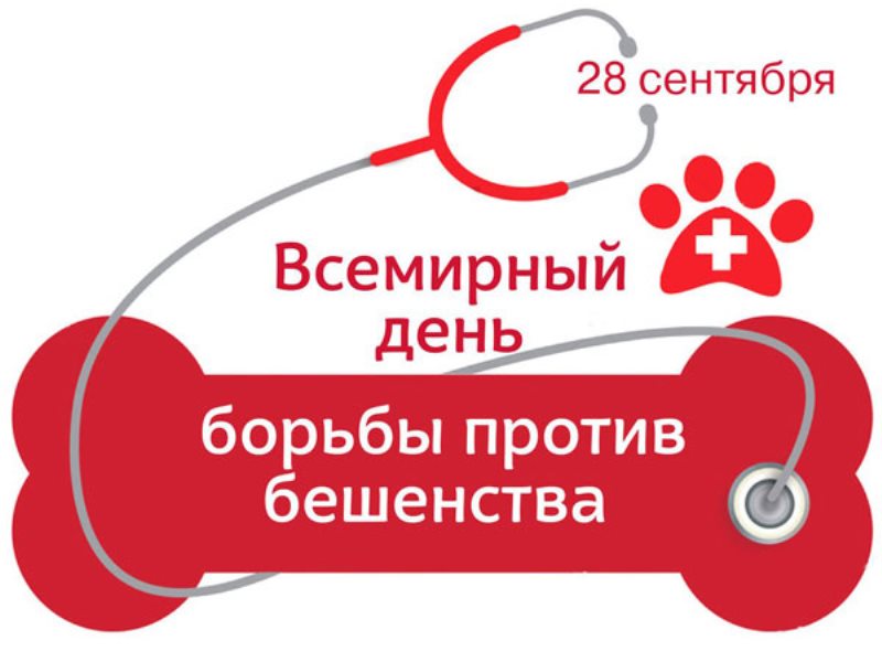 «Всемирный день борьбы с бешенством».