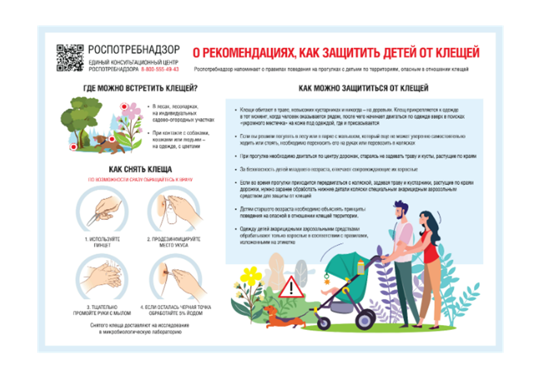 «Как уберечь ребенка от клещей».