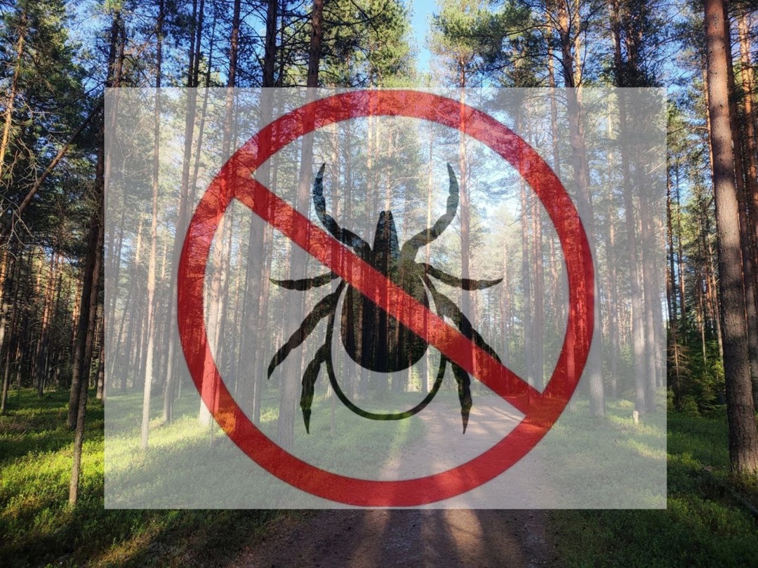 Уважаемые жители прилегающих территорий!.