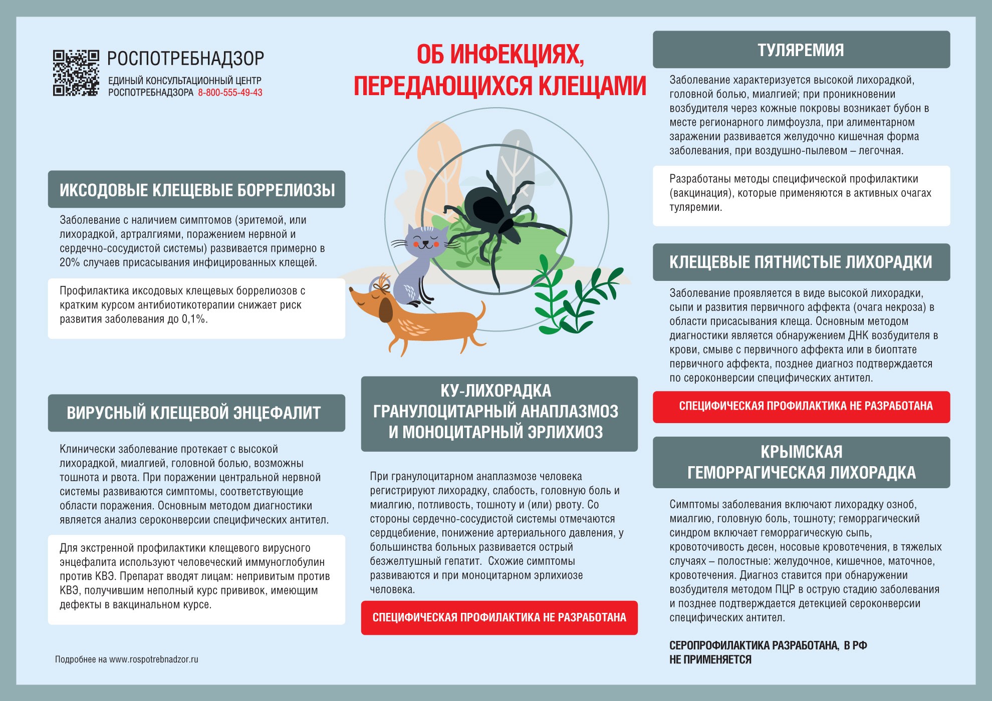 Об инфекциях, передающихся клещами.