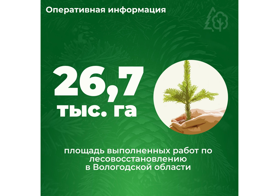 Департамент лесного комплекса Вологодской области о лесовосстановлении.
