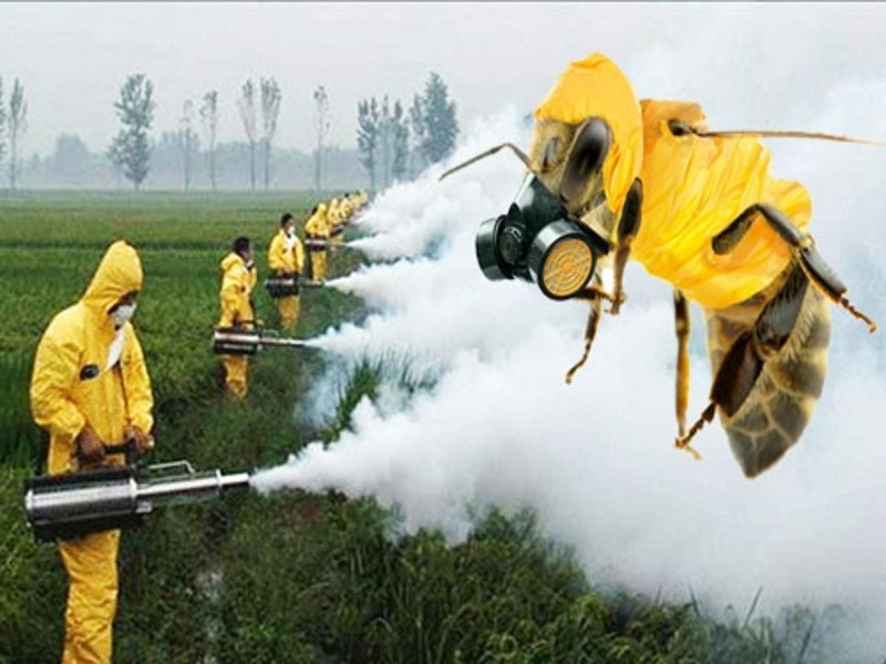 Филиал ФГБУ «Россельхозцентр» по Вологодской области предупреждает о необходимости обеспечения безопасности пасек при применении пестицидов.