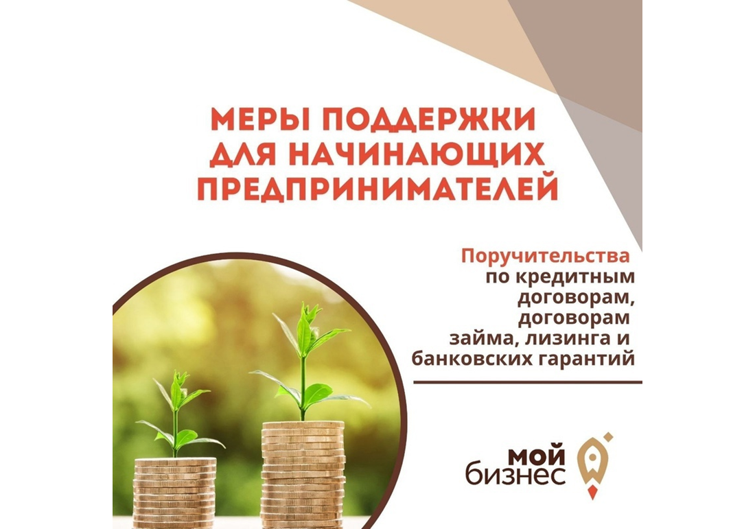 Почти 700 млн рублей заемных средств помог получить местному бизнесу Центр Гарантийного обеспечения МСП.