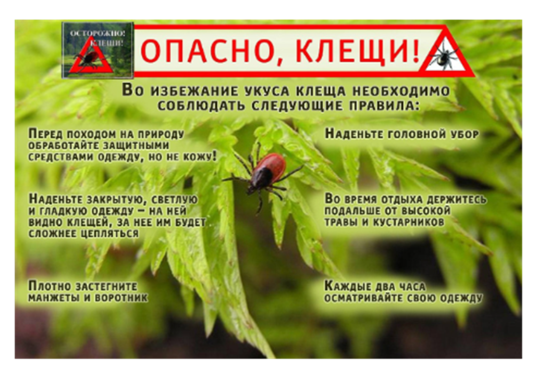 О соблюдении мер профилактики  клещевого вирусного энцефалита среди детей.