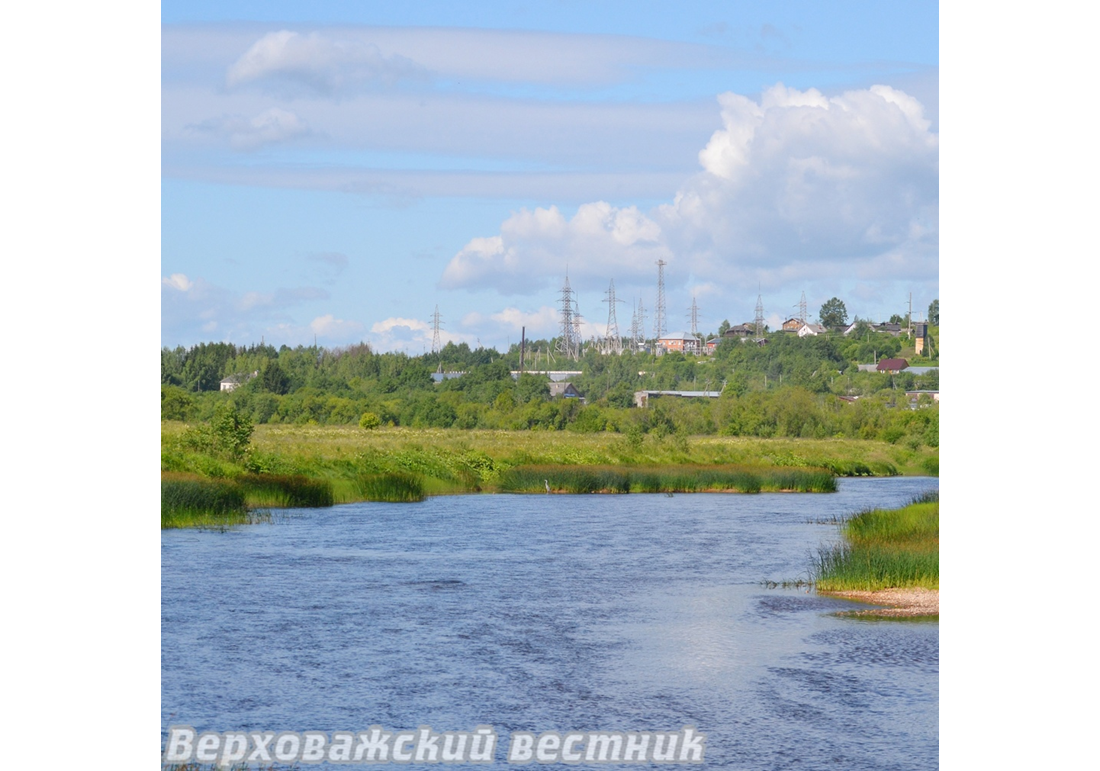 Жители Верховажья заметили на реке цаплю и пару белых лебедей.