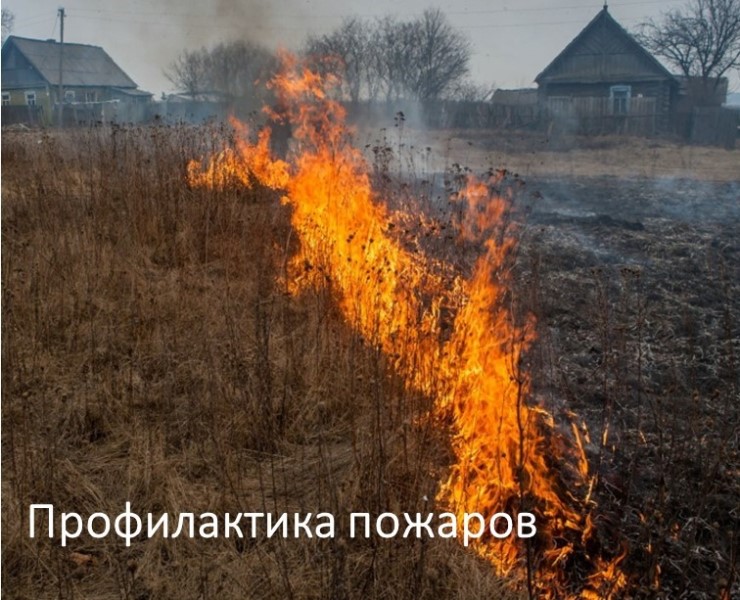 На страже природы: в Вологодском Росреестре напомнили о необходимости соблюдения мер пожарной безопасности на землях сельскохозяйственного назначения.