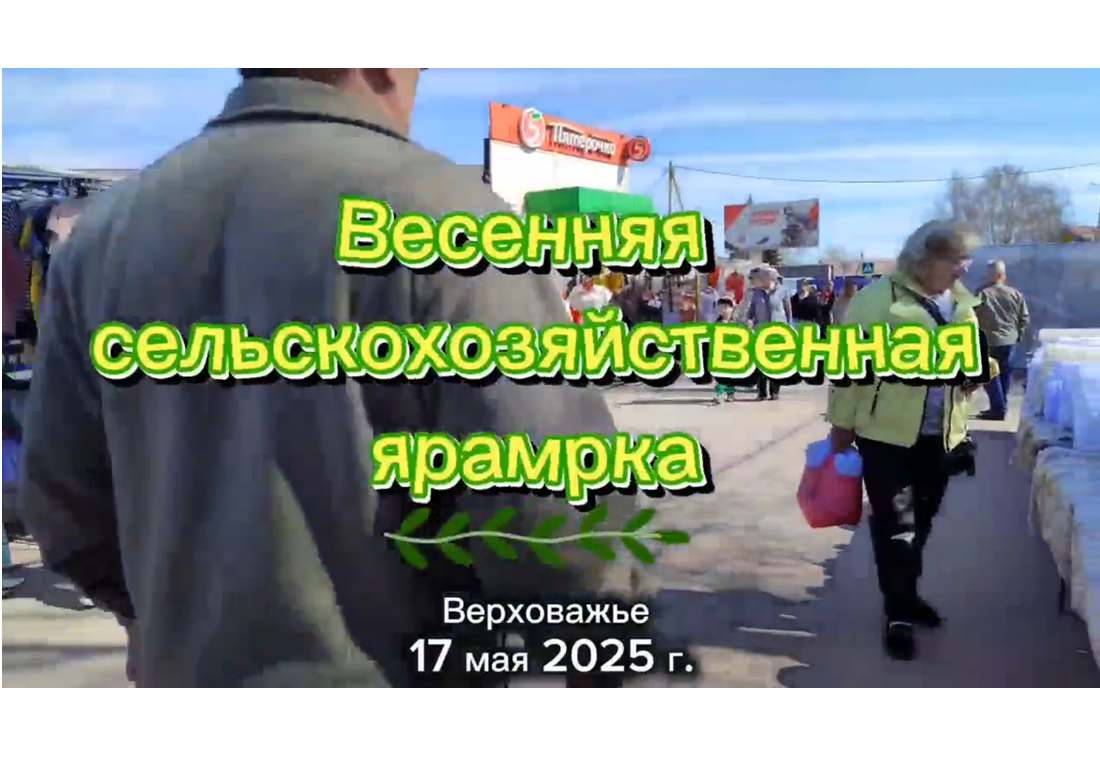 Весенняя сельскохозяйственная ярмарка проходит сегодня в Верховажье.