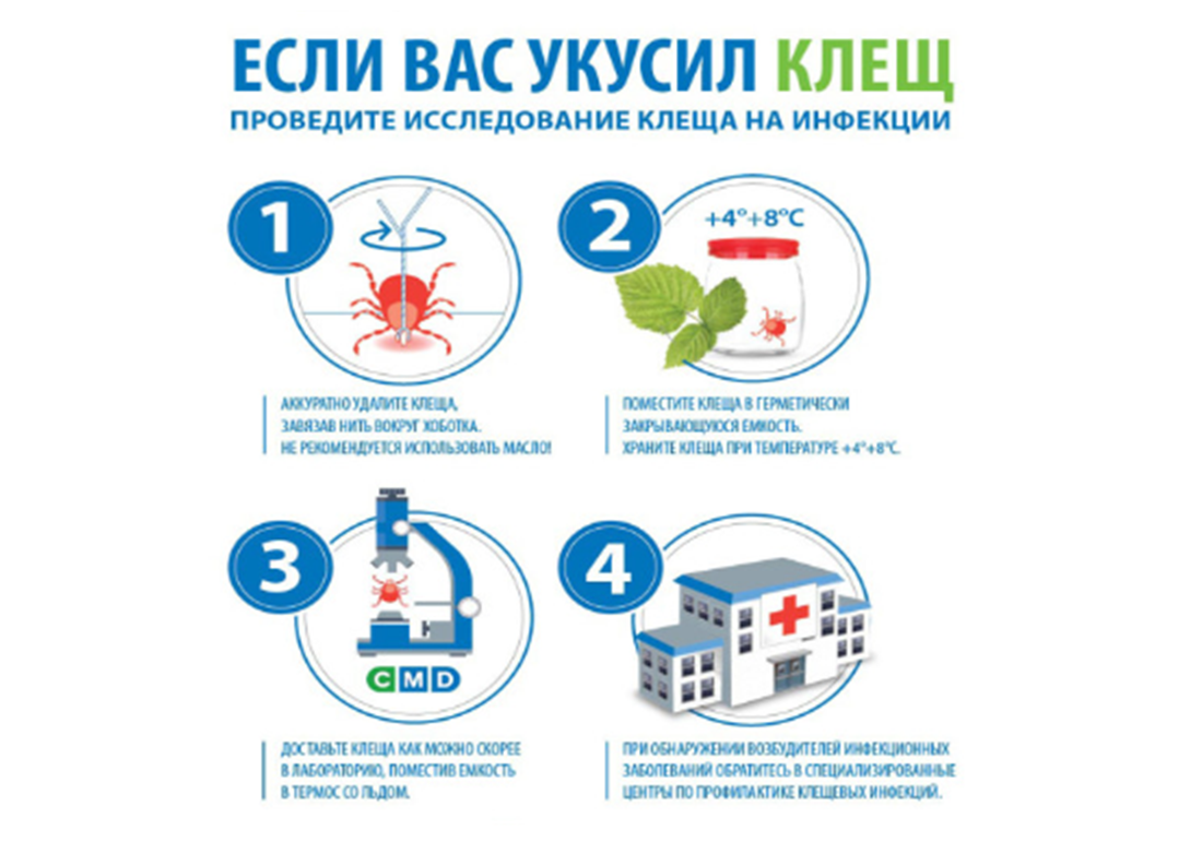 «Памятка для населения. Осторожно-клещи».