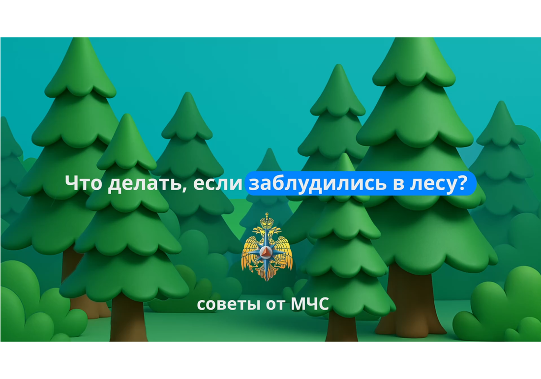 Трудно представить лето без походов в лес.