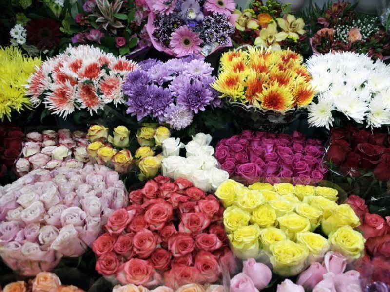 Как правильно выбрать цветы?.