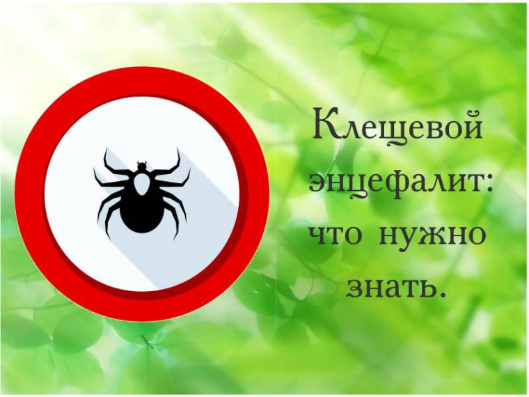 Профилактика клещевого вирусного энцефалита. Профилактика клещевого вирусного энцефалита.
