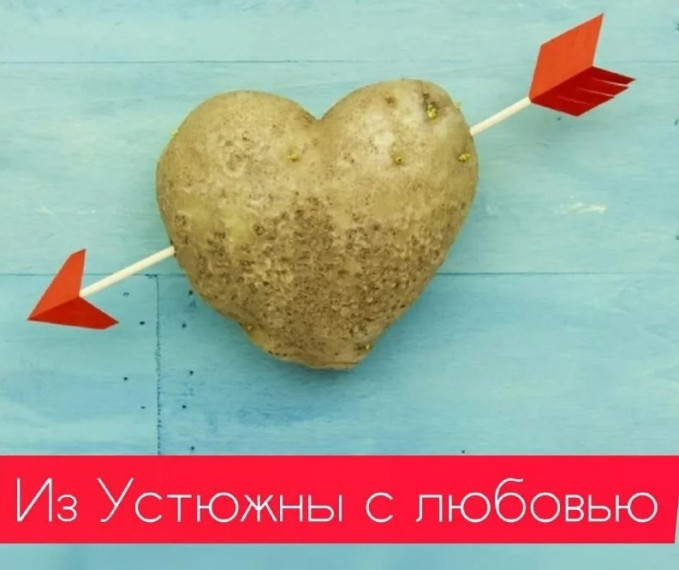 Вологодский картофель впервые отправился на экспорт за рубеж. Вологодский картофель впервые отправился на экспорт за рубеж.