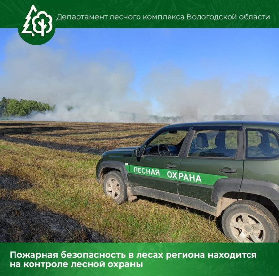 Ежедневно инспекторами проводится патрулирование лесного фонда. Ежедневно инспекторами проводится патрулирование лесного фонда.