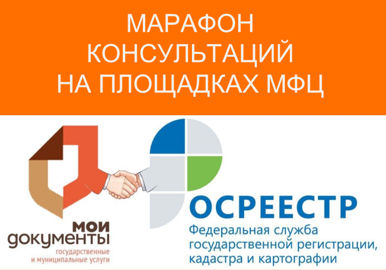 В Вологодской области прошел марафон консультаций на площадках МФЦ. В Вологодской области прошел марафон консультаций на площадках МФЦ.