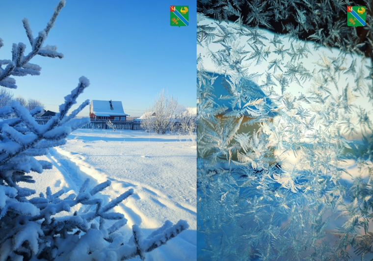 Морозные январские фотозарисовки. Морозные январские фотозарисовки.