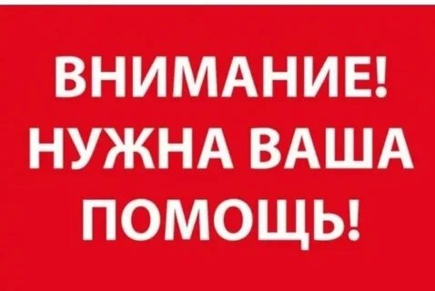 Крупный пожар произошёл сегодня в д. Плосково.