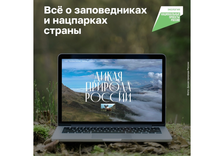 Любоваться дикой природой теперь можно виртуально из любой точки России!. Любоваться дикой природой теперь можно виртуально из любой точки России!.