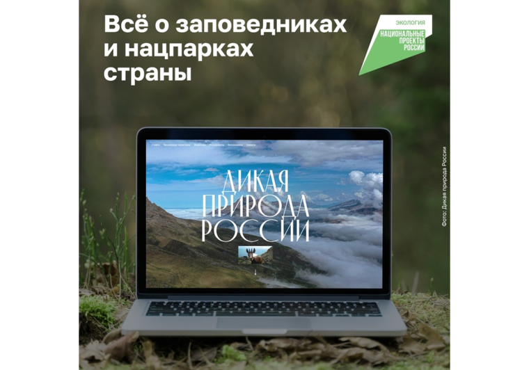 Любоваться дикой природой теперь можно виртуально из любой точки России!.