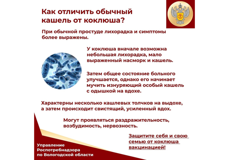 Коклюш. Коклюш.