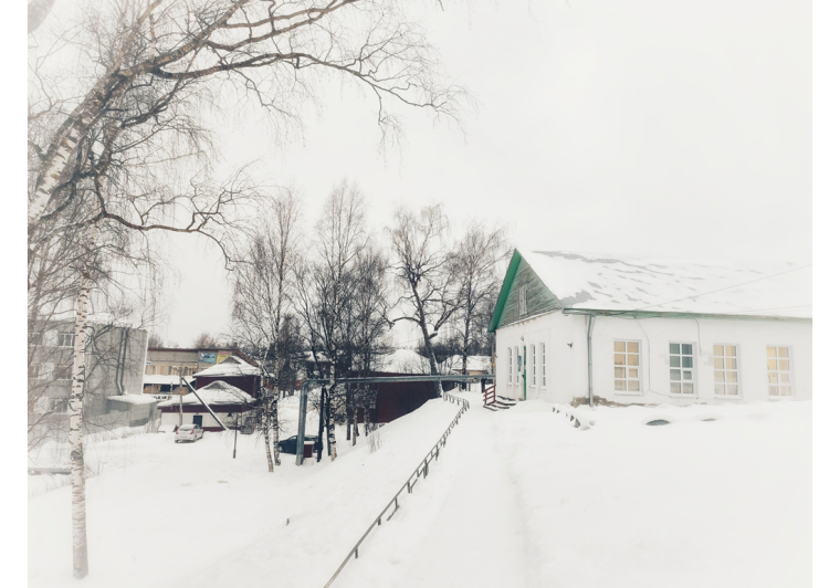 Январские фотозарисовки. Январские фотозарисовки.