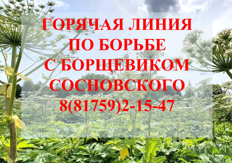 Уважаемые верховажане!. Уважаемые верховажане!.