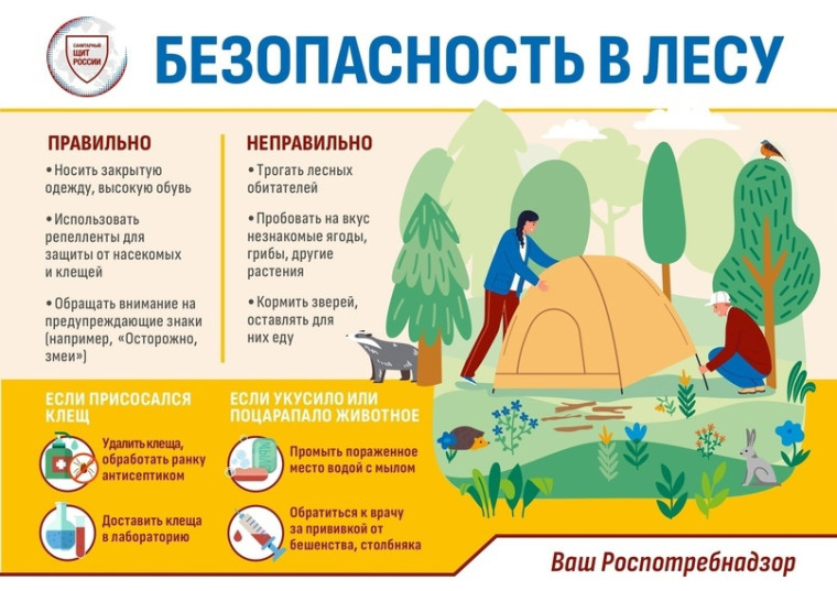 Мониторинг за клещевыми инфекциями. Мониторинг за клещевыми инфекциями.