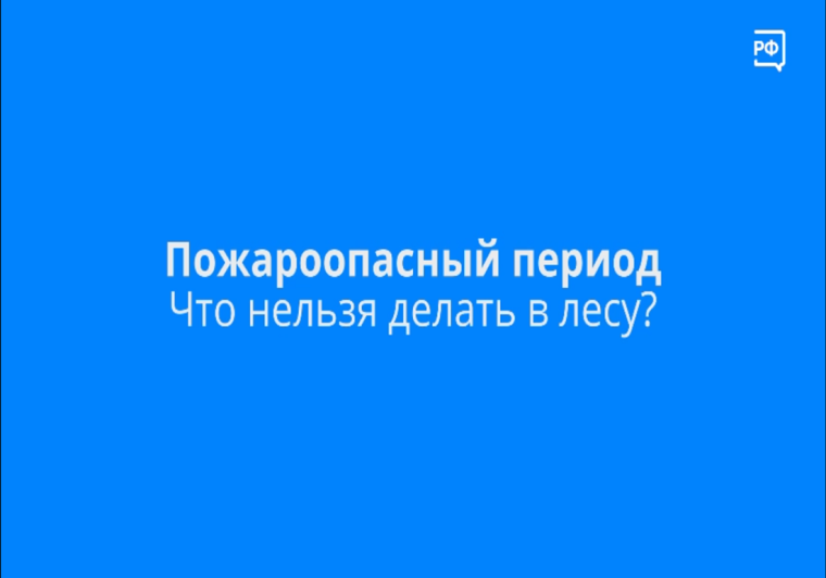 Зачастую лесные пожары случаются по вине человека. Зачастую лесные пожары случаются по вине человека.
