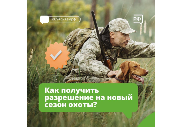 Сезон охоты не за горами. Сезон охоты не за горами.