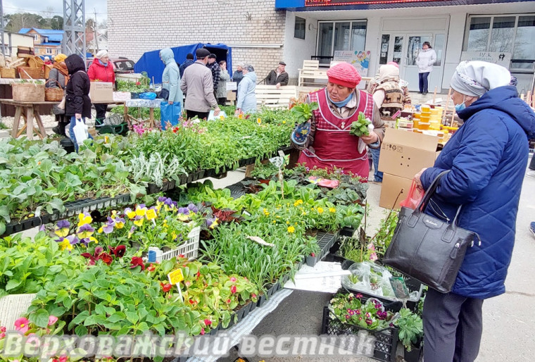 Весенние ярмарки пройдут в Верховажье и Чушевицах.