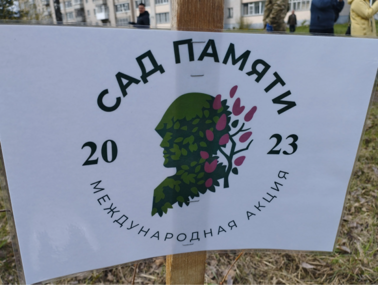 Сотрудники ОСФР по Вологодской области приняли участие в международной акции «Сад памяти». Сотрудники ОСФР по Вологодской области приняли участие в международной акции «Сад памяти».