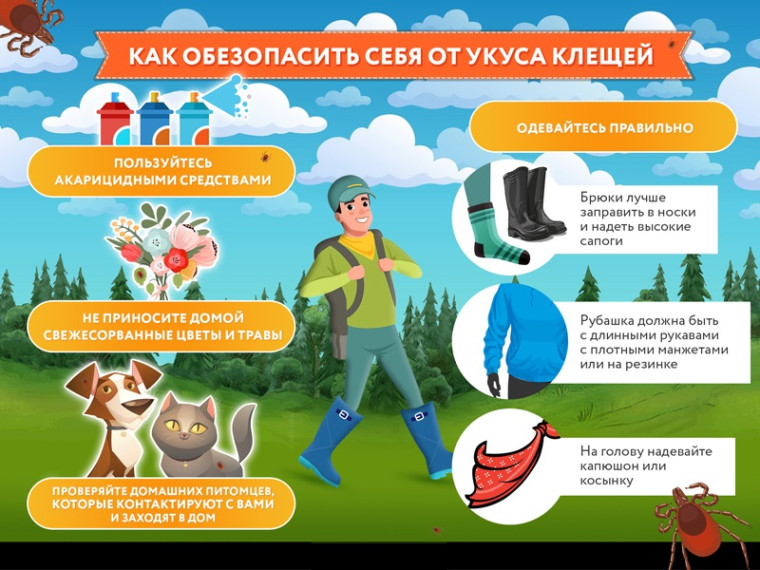 Памятка. Чтобы клещ не укусил.. Памятка. Чтобы клещ не укусил..