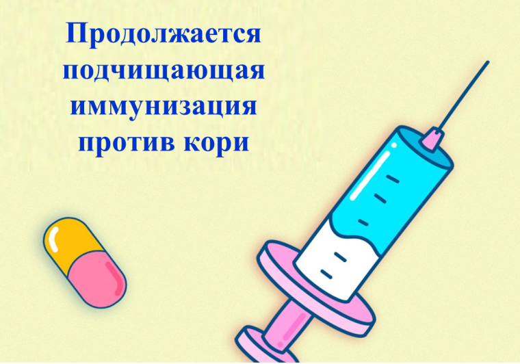 Продолжается подчищающая иммунизация против кори. Продолжается подчищающая иммунизация против кори.