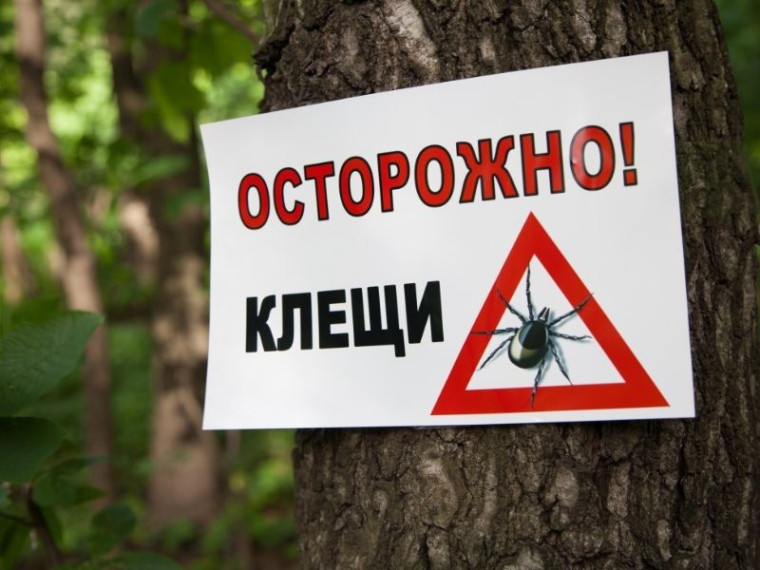 О соблюдении мер профилактики клещевого вирусного энцефалита среди детей. О соблюдении мер профилактики клещевого вирусного энцефалита среди детей.