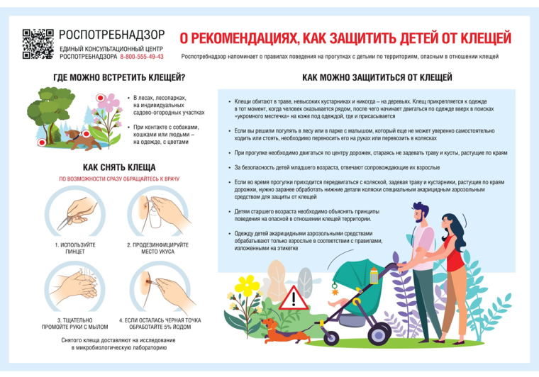 Как защитить детей от клещей!. Как защитить детей от клещей!.