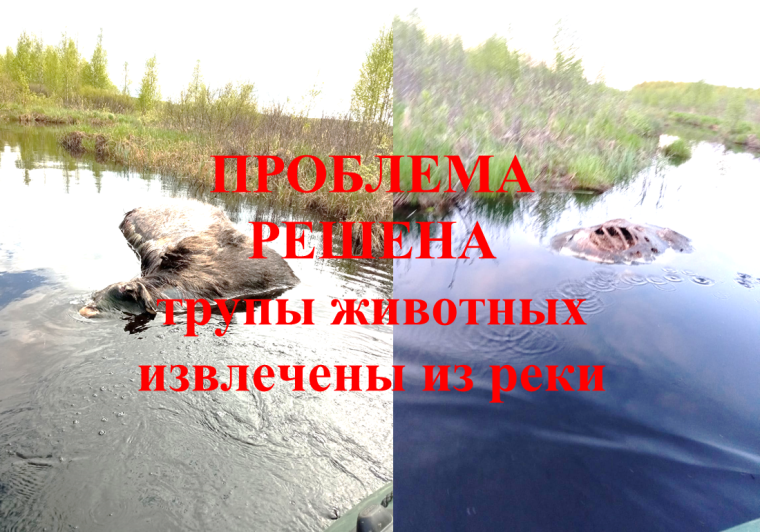Проблема решена. Проблема решена.