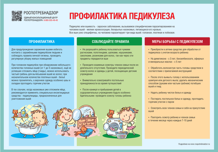 Профилактика педикулеза. Профилактика педикулеза.